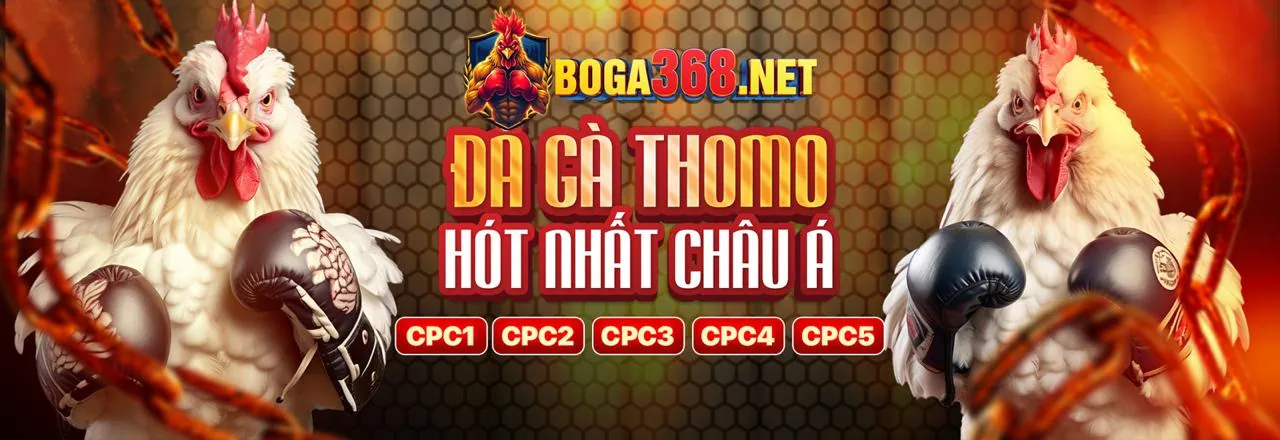 Tin tức mới nhất từ ku11net win